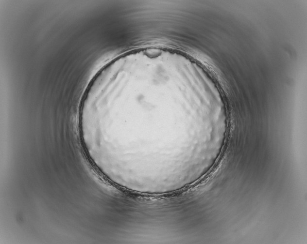 X0000111051234200907161358