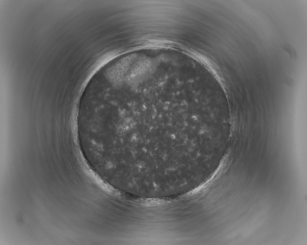 X0000111051235200907161358