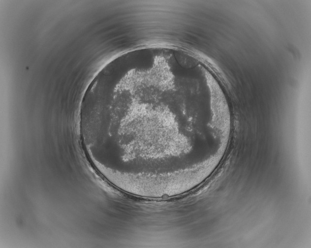 X0000111051236200907161358