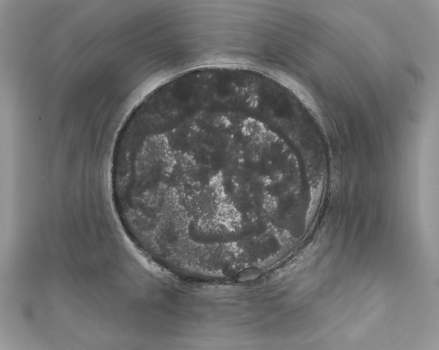 X0000111051237200907161358