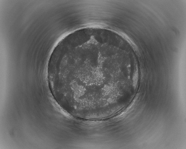 X0000111051240200907161358