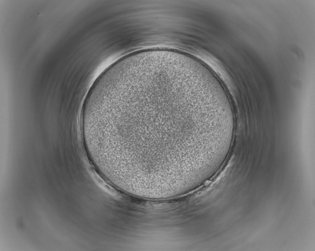 X0000111051242200907161359