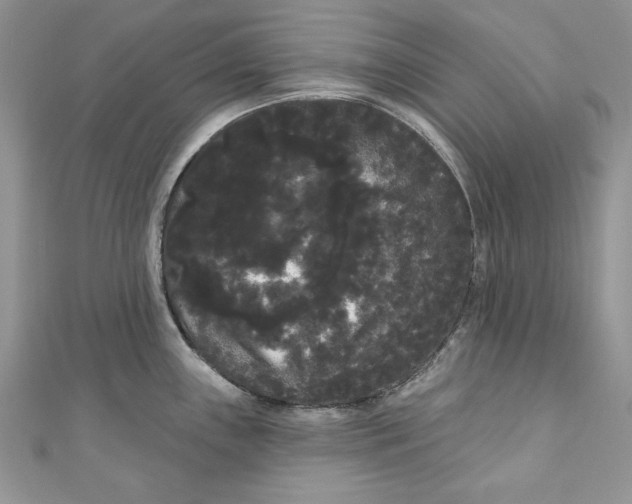 X0000111051243200907161359