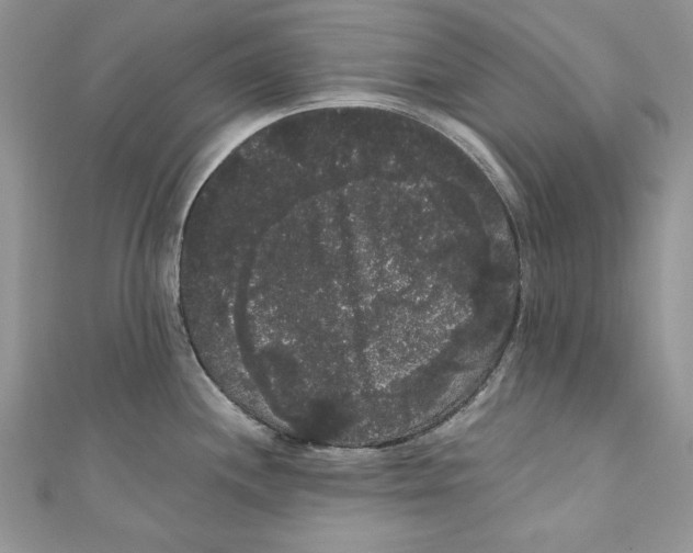 X0000111051244200907161359