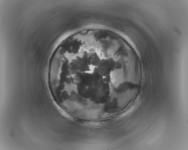 X0000111051245200907161359