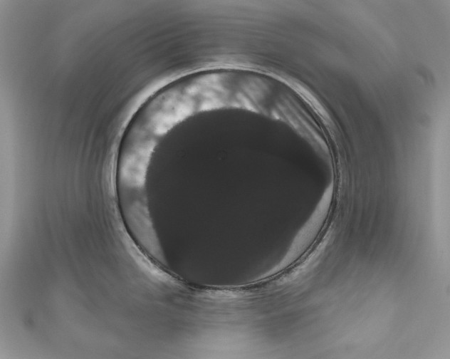 X0000111051246200907161359