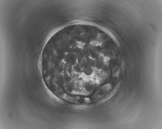 X0000111051247200907161359