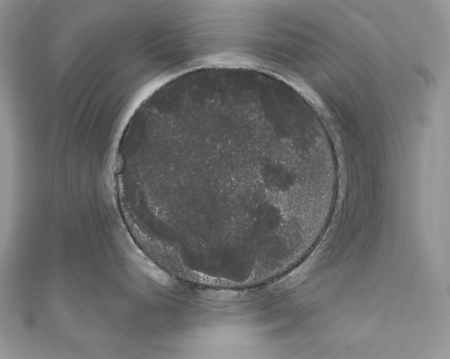 X0000111051248200907161359