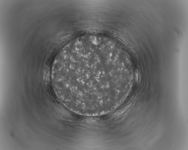 X0000111051251200907161358