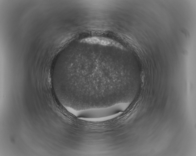 X0000111051252200907161358