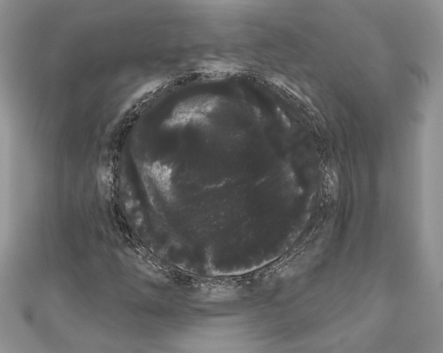 X0000111051254200907161358