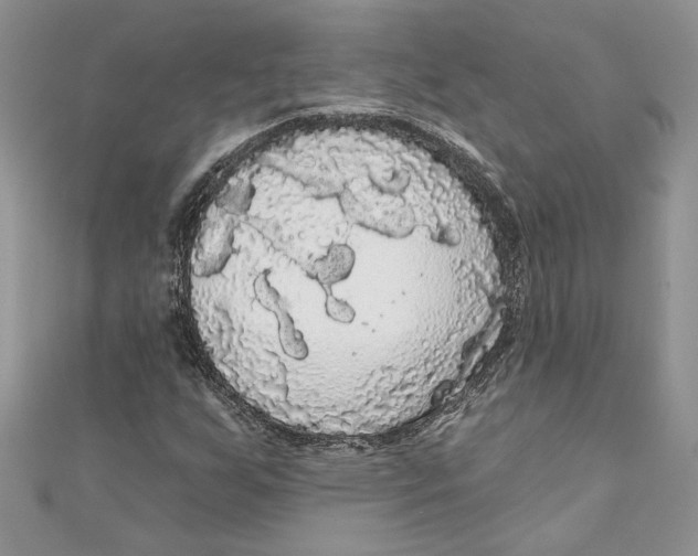 X0000111051255200907161358