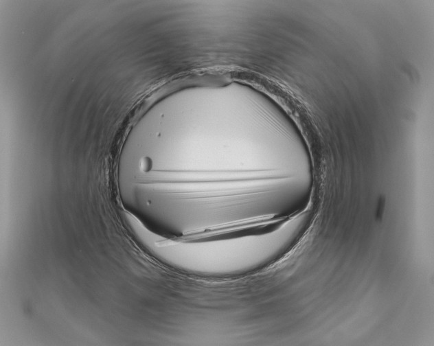 X0000111051257200907161358