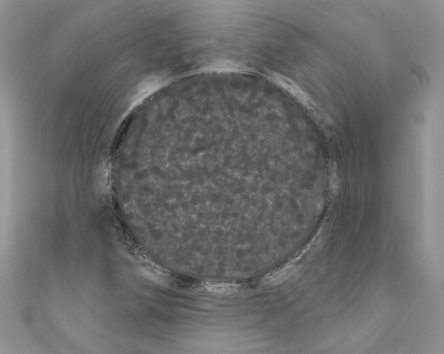 X0000111051258200907161358