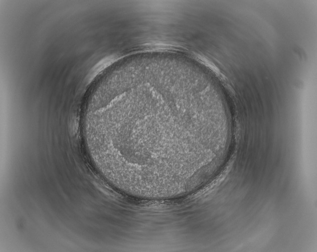 X0000111051259200907161358