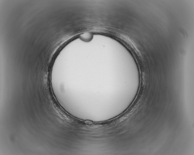 X0000111051260200907161358