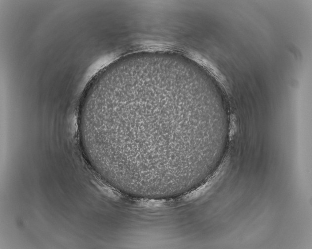 X0000111051261200907161358