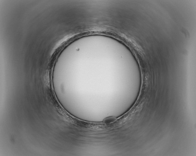 X0000111051262200907161358