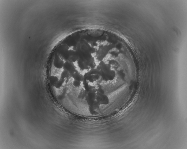 X0000111051263200907161358