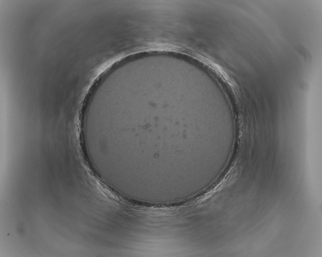 X0000111051264200907161358