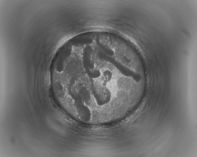 X0000111051267200907161358