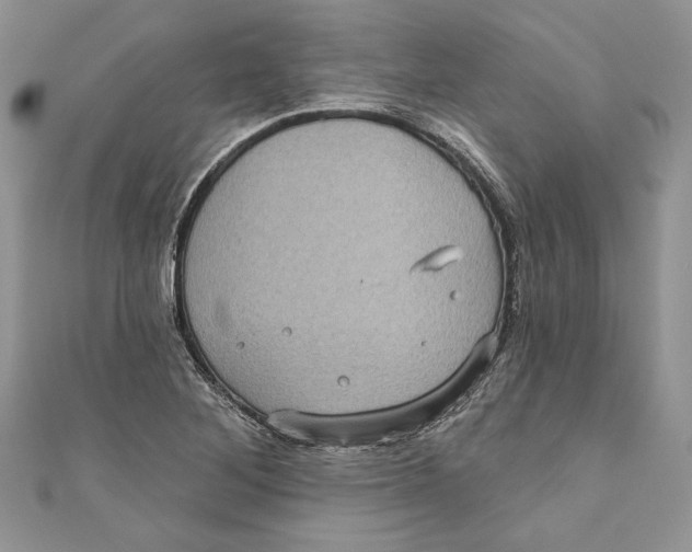 X0000111051268200907161358