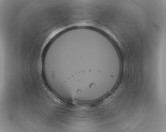 X0000111051270200907161358