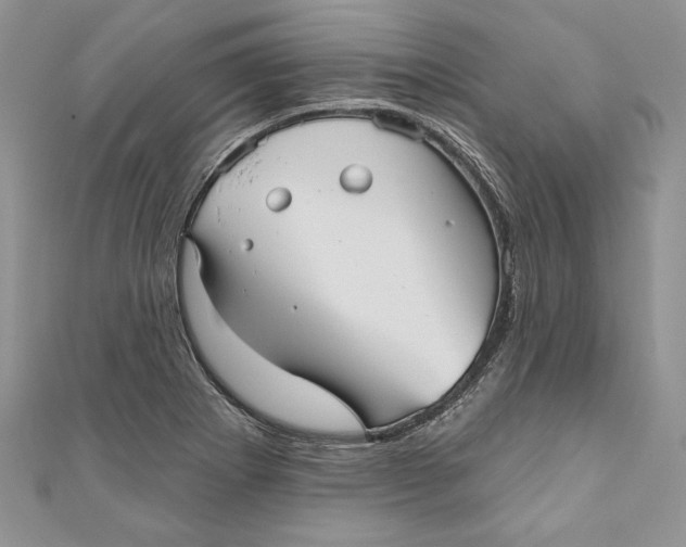 X0000111051273200907161358