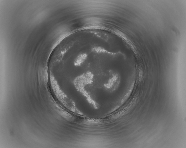 X0000111051274200907161358