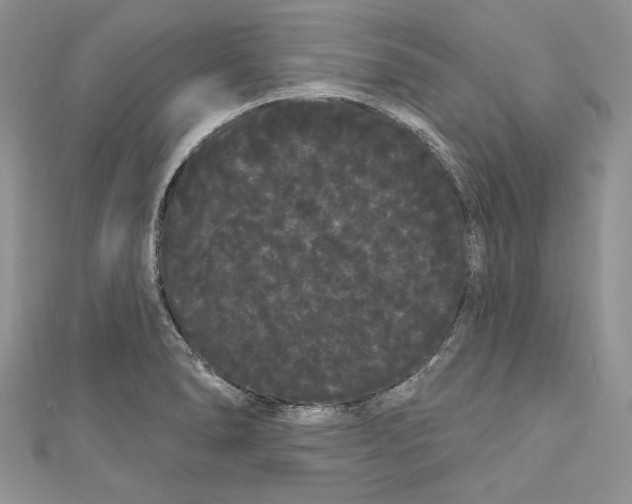 X0000111051278200907161358