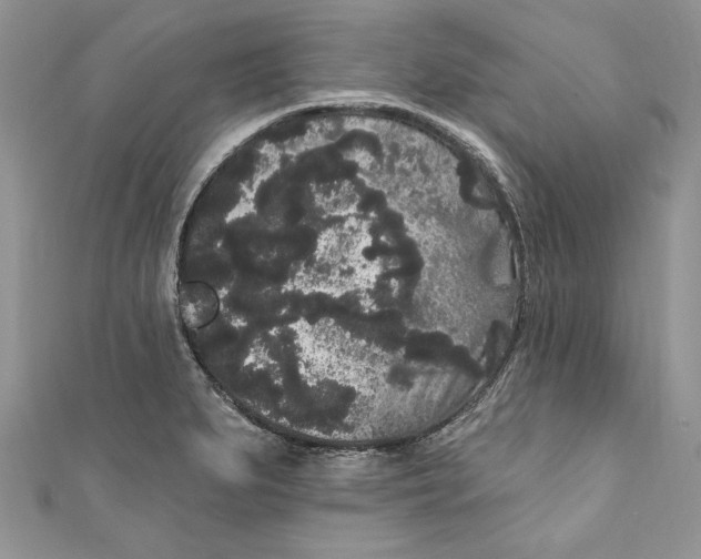 X0000111051279200907161358