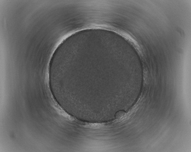 X0000111051280200907161358