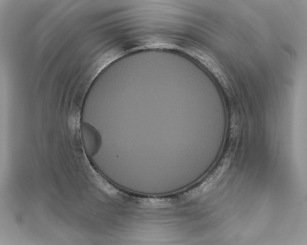 X0000111051281200907161358