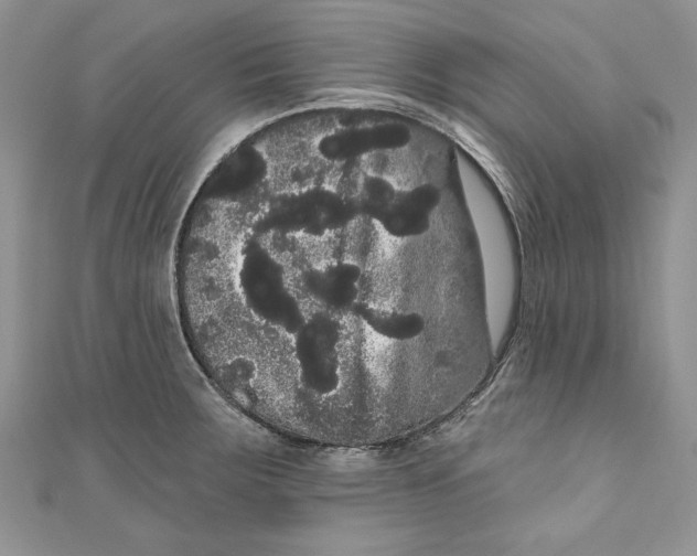 X0000111051283200907161358