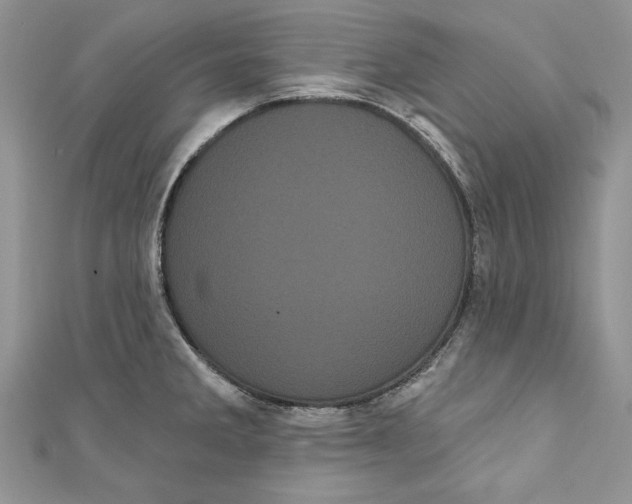 X0000111051285200907161357