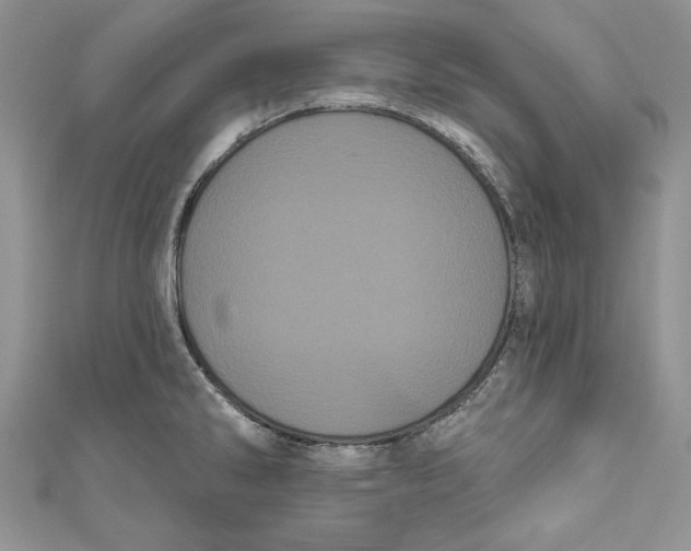 X0000111051286200907161357