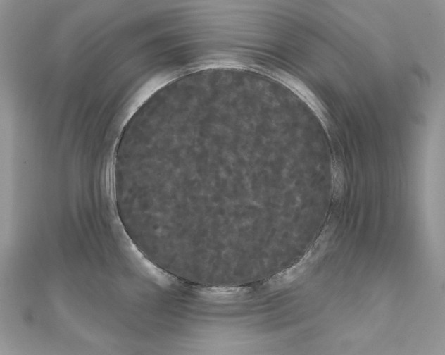 X0000111051290200907161357