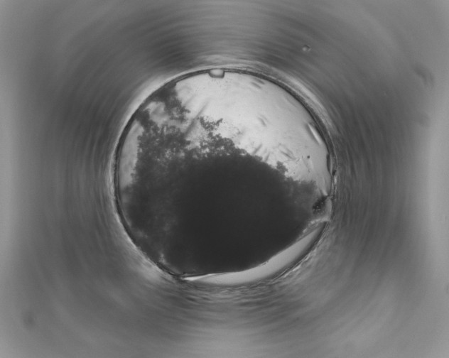 X0000111051291200907161357