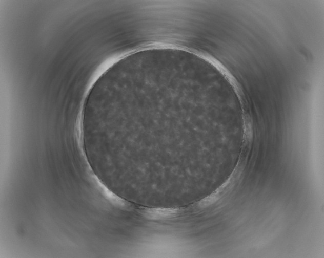 X0000111051294200907161357