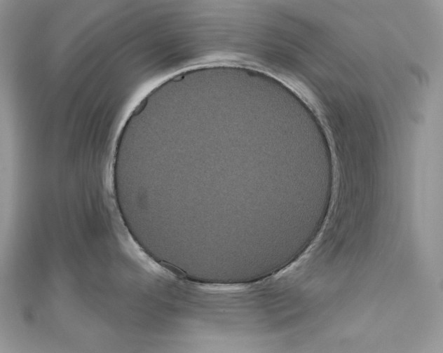 X0000111051296200907161357