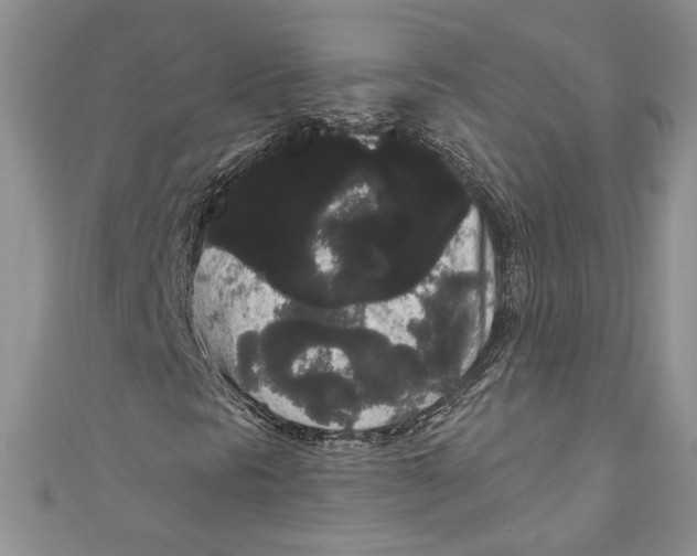 X0000111051297200907161357