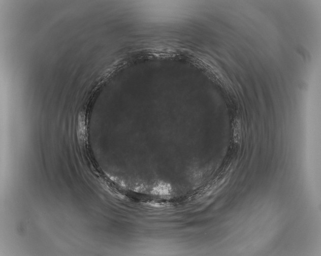 X0000111051298200907161357