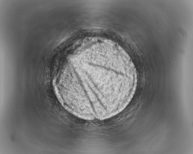 X0000111051301200907161357