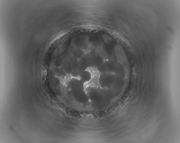 X0000111051302200907161357