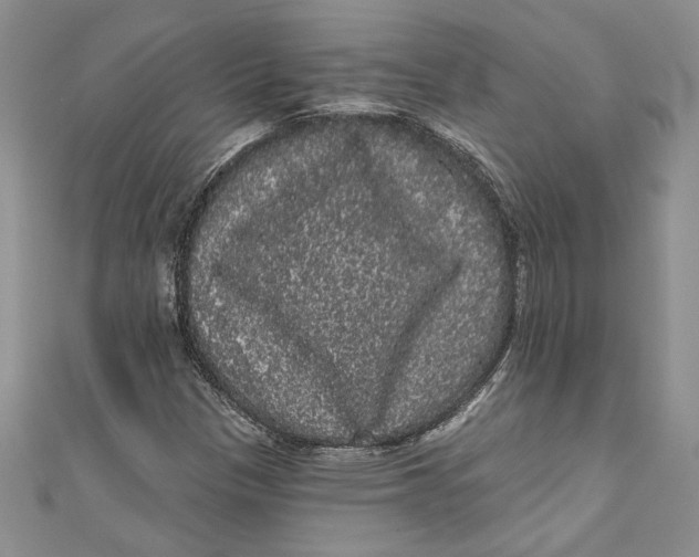 X0000111051305200907161357