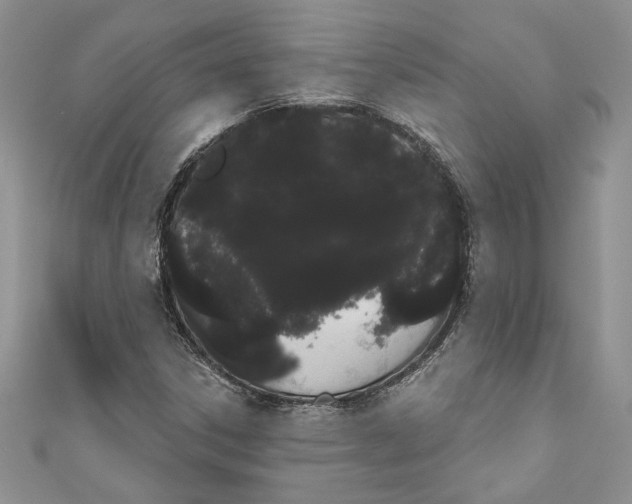 X0000111051306200907161357