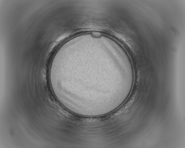 X0000111051307200907161357