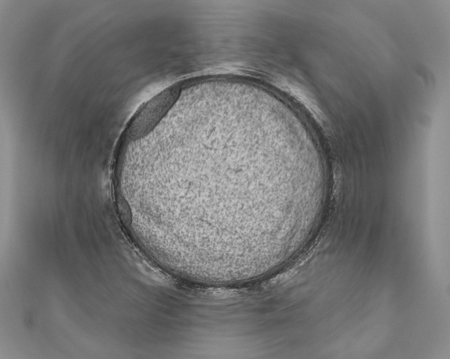 X0000111051308200907161357