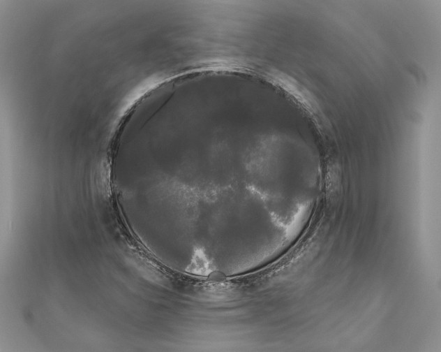 X0000111051310200907161357