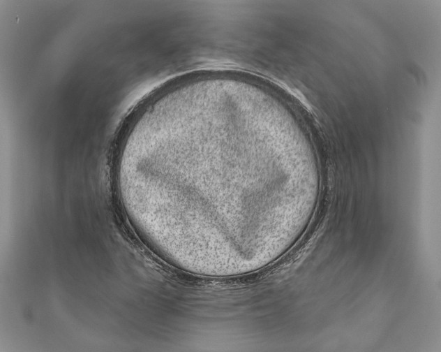 X0000111051311200907161357